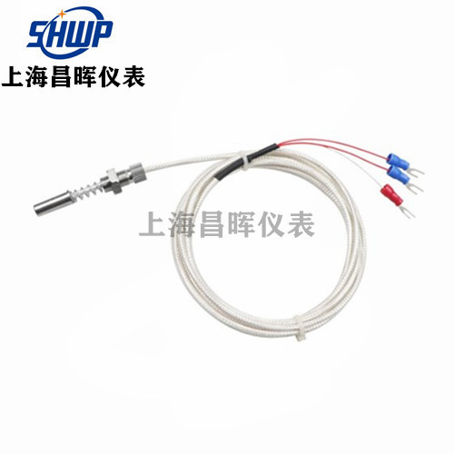 軸承鉑熱電阻傳感器 軸承測溫Pt100溫度傳感器 WZPM-201